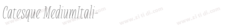 Catesque MediumItali字体转换 Catesque MediumItali字体转换